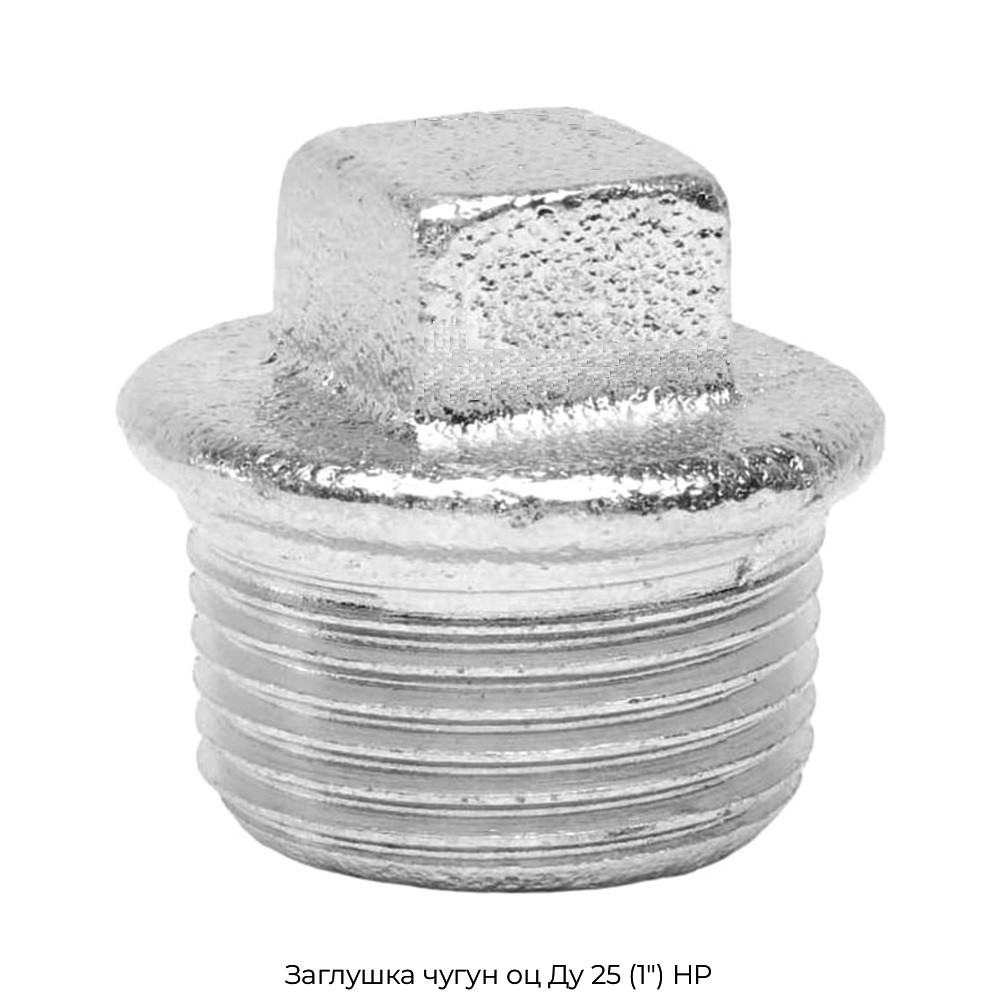 Заглушка чугун оц Ду 25 (1") НР