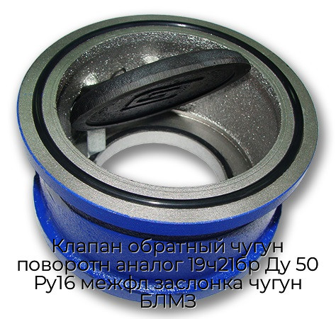 Клапан обратный чугун поворотн аналог 19ч21бр Ду 50 Ру16 межфл заслонка чугун БЛМЗ